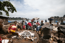 Sierra Leone Freetown