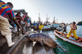 Cabo Verde Praia